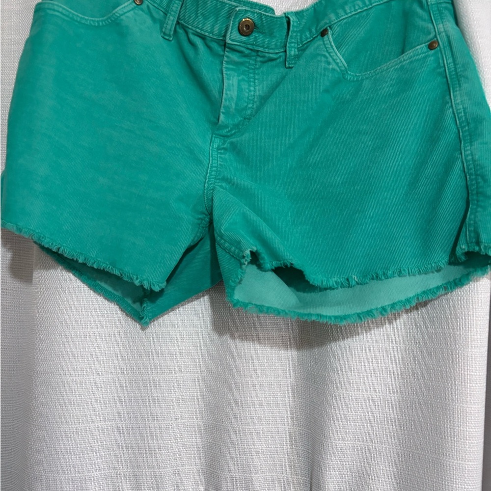 Carve Designs Oahu Teal Jean Shorts